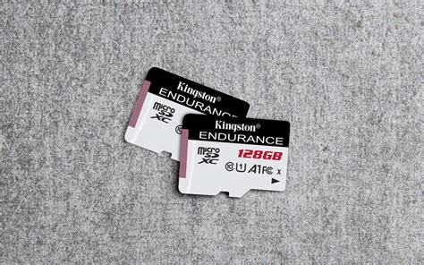 Kingston High Endurance ufficiali: schede microSD super-resistenti