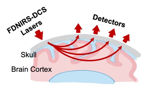 principle  nirs fnndsc light