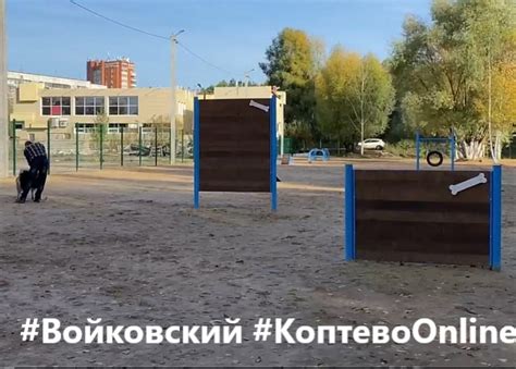 В порядок ограждение на площадке для выгула собак у дома 3 по улице ...