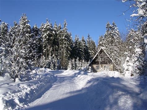 navsteva rekreacni obce suchy  rozhovor  jejim starostou mediumcz