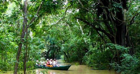 Desafio Brazil Amazon River Cruise 🦋 Manaus River Cruise Tour