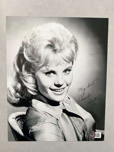 Pamela Austin Autographed Signed X Photo Beckett BAS COA Sexy Hot Blue Hawaii EBay