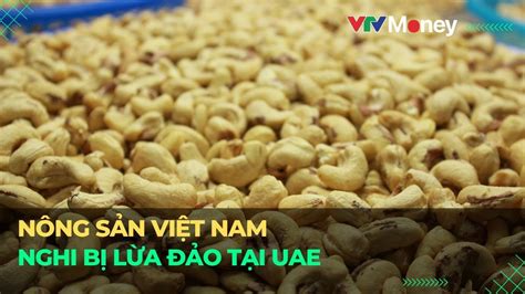 N Ng S N Vi T Nam Nghi B L A O T I Uae Vtvmoney Youtube