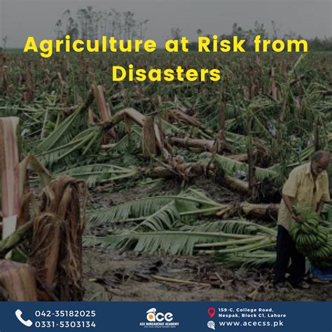 agriculture  risk  disasters