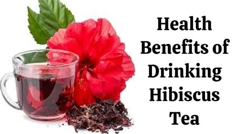 Start Drinking Hibiscus Tea For Good Healthhealth Benefits Of Drinking Hibiscus Tea Youtube