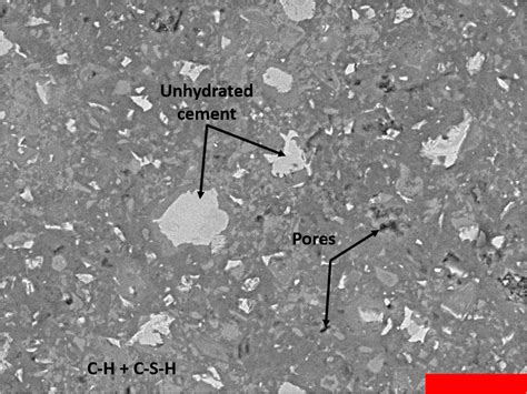 A Sem Bse Image Illustrating The Different Phases Of A Cement Paste