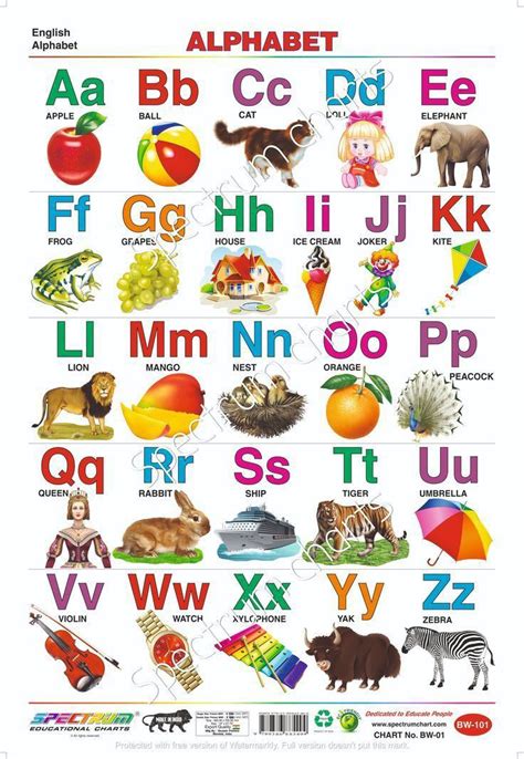 english alphabet poster  animal pictures hindi english alphabet
