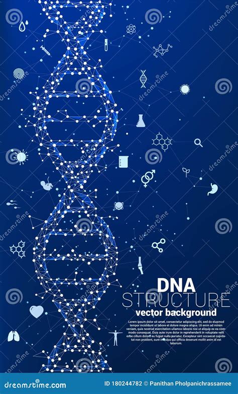 Vector Dna Genetische Structuur Van Punt Verbindt Lijnveelhoek Met