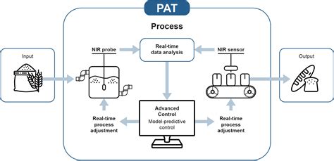 Process Analytical Technology PAT Market To Witness Astonishing