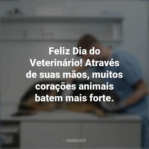 Frases Dia Do Veterinario - 9