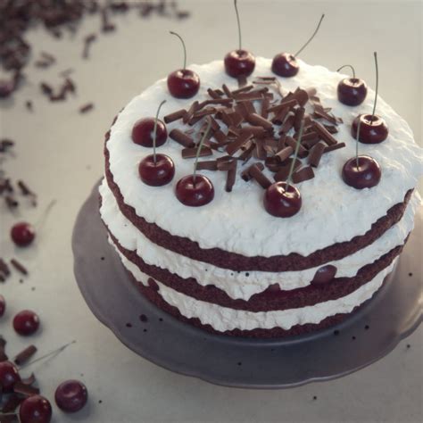 Black Forest Cherry Cake - Project - Evermotion