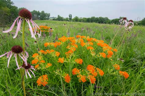 Reporting Live On Tape From The 2023 North American Prairie