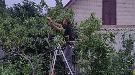 It S Always Nice To Do Something In The Garden Free Porn Videos YouPorn