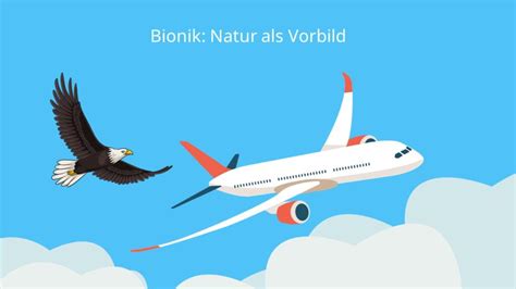 Bionik • einfach erklärt, Beispiele · [mit Video]