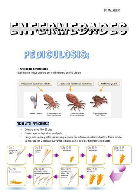 Enfermedades Parasitarias Cutáneas Vidas Medicas Udocz