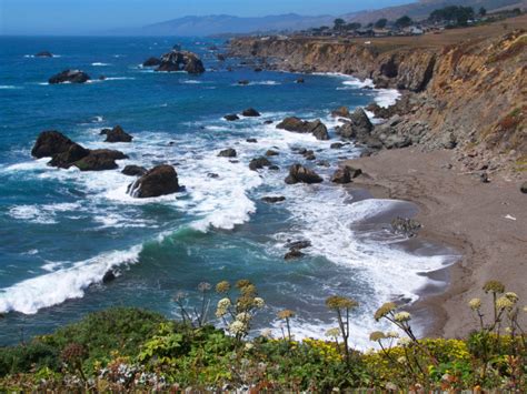 Zendaya Coleman Nude Sonoma County Tourism