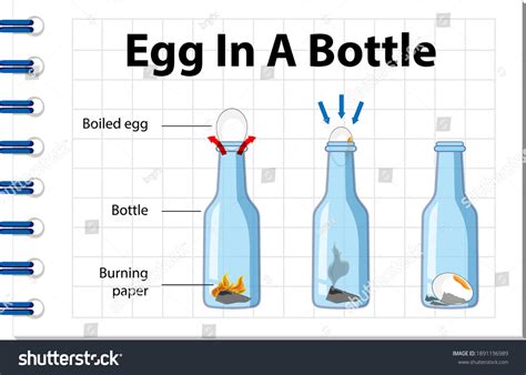 Science Experiment Egg Bottle Illustration Stock Vector Royalty Free