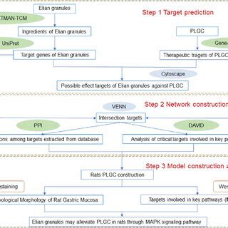 Technical Route Of The Research Based On Network Pharmacology And