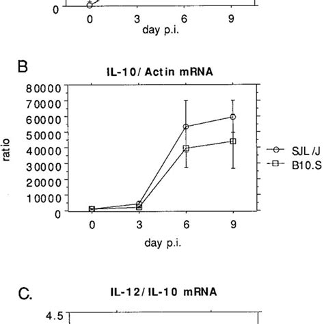 Levels Of Ifn Mrna A Il Mrna B And Viral Rna C In The Brains