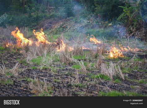 Burn Farm Agriculture Image And Photo Free Trial Bigstock