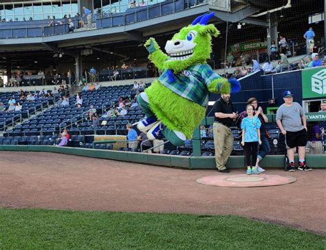 Hartford Yard Goats