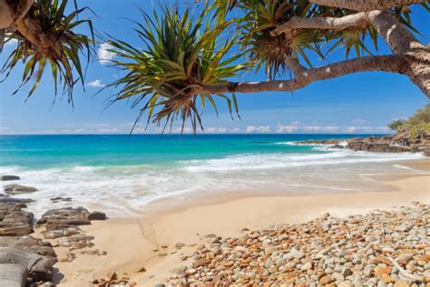 Optometrist Opportunities In The Sunshine Coast Qld Spectrum Anz