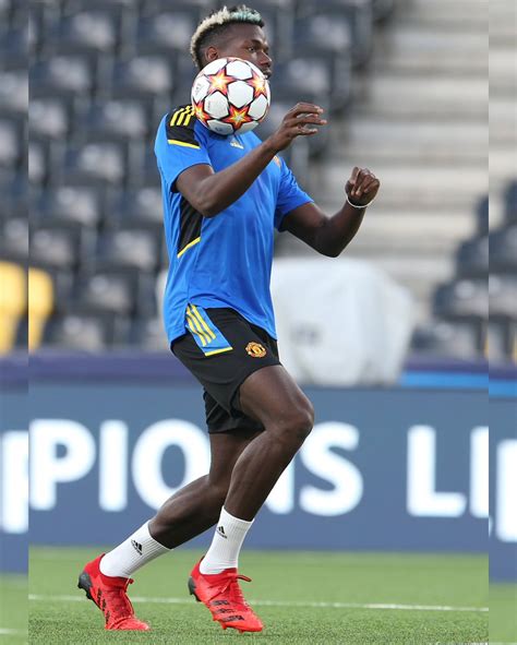 domtoretto attorettofamily twitter