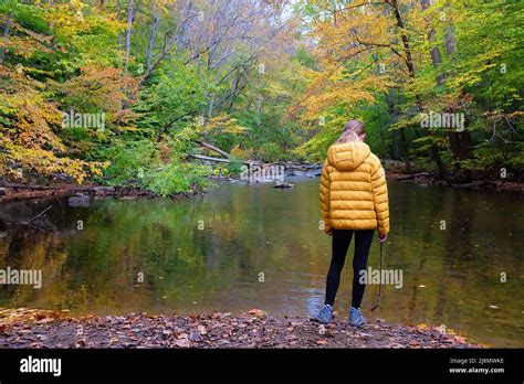 Fille Blonde Marchant Dans La For T Banque De Photographies Et Dimages Haute R Solution Alamy