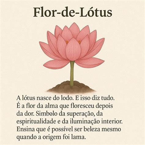 Curiosidades Sobre As Flores - Flores com significados fortes | Curiosidades sobre as flores, Plantas ...
