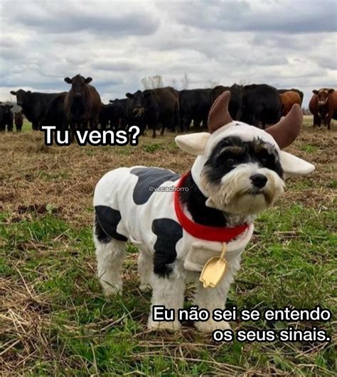 Estou Sentindo Minhas Forças Indo Embora 4