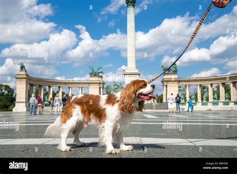 Budapest Hero Square Stock Photo Alamy