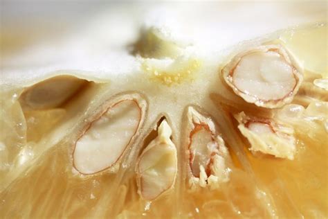 Семена грейпфрута, экстракт: лечебные свойства и противопоказания