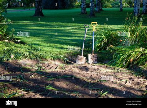 Two Shovels In Ground Stock Photo Alamy