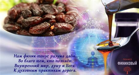 Полезные натуральные подсластители часть 2 - Vegetus
