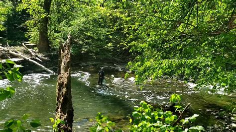 Hiking Wissahickon Valley Park Youtube