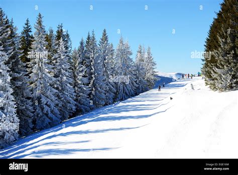 The Slope Of Bukovel Ski Resort Ukraine Stock Photo Alamy