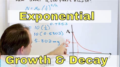 12 What Is Exponential Growth And Decay Half Life And Doubling Time