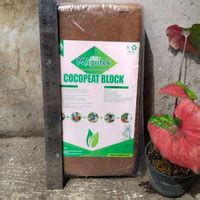 Jual Cocopeat Terbaik Harga Murah Maret 2024 Cicil 0