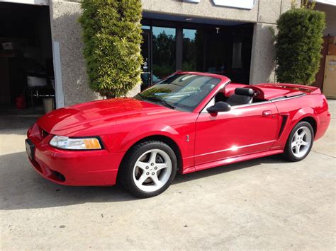 1999 Ford Mustang Svt Cobra For Sale Cc 955139