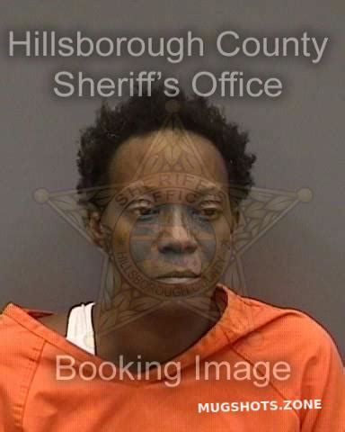 Lowe Joy Hillsborough County Mugshots Zone