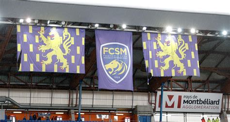 Sochaux le FCSM espère être réauditionné par la DNCG