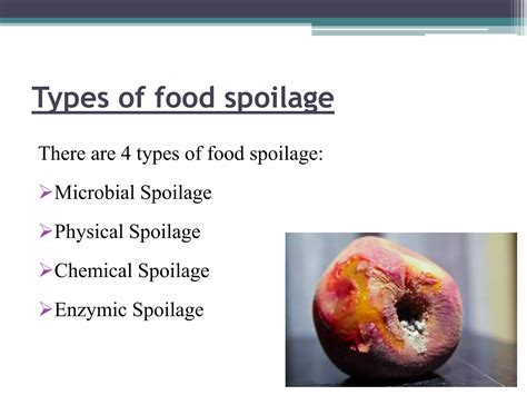 Food Contamination And Food Spoilage Ppt Free Download