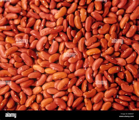 Red Kidney Beans Stock Photo Alamy