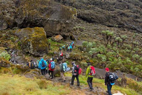 How to Climb, Trek, and Hike to Mt. Kilimanjaro's Summit