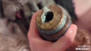 Monsterbait S Porn Videos Pornhub