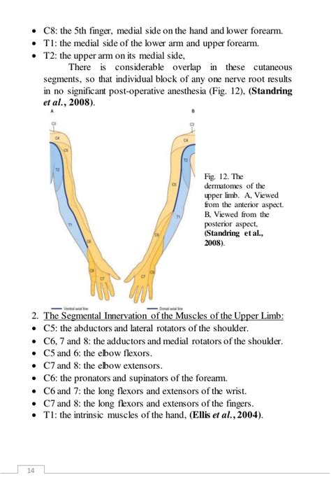 Ultrasound Guided Regional Anesthesia Assay