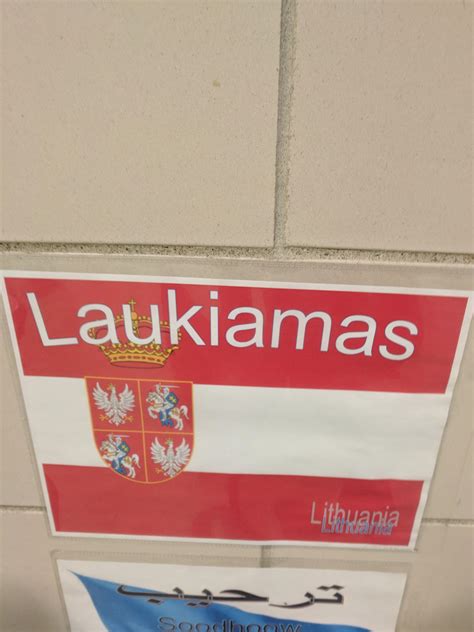 The old flag of Lithuania that I found at my school. : vexillology
