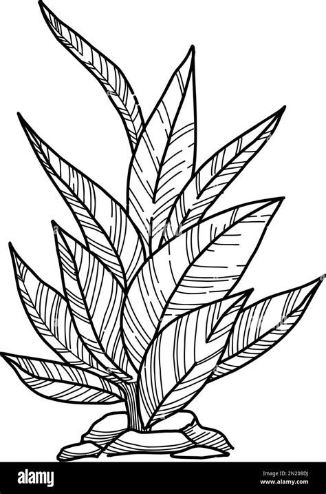 Plant Forest Icon Outline Hand Drawn Vector Garden Drawing Stock