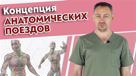 Самая важная книга для массажиста! / Томас Майерс Анатомические поезда ...