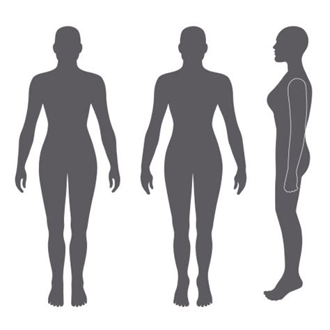 Naked Standing Woman Bald Silhouette Royalty Free Vector